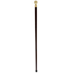 Elegant cane with compass 2