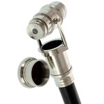 Elegant cane with monocle 6