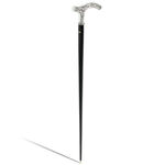 Elegant walking sticks flower 1