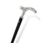Elegant walking sticks flower 6