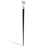 Elegant walking stick silver shine 1