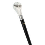 Elegant walking stick silver shine 3