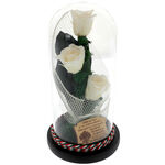 Bouquet of 3 cream cryogenic roses 2