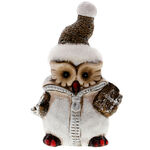 Owl with jacket 2