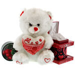 Love Gift with Teddybear 1