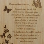 Cadou învățătoare agendă personalizată cu pix 4