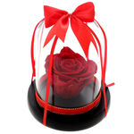 Gift for women immortal rose 3