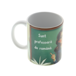 Cadou Profesoară Română – Cană Personalizată 350ml cu Mesaj Haios