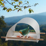 Bird Feeder 1