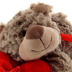 Plush Dog with Heart 4