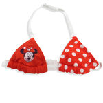 Minnie Mouse Swimwear 3