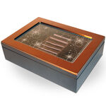 Jewelry box brown with transparent hood 4