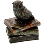 Owl box with books