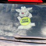 Windshield Decoration: Silly Swine 4