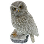 Big owl figurine 1