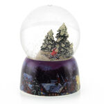 Snow Globe 2