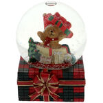 Snow globe teddy bear gift 3