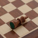 Magnetic chess and checkers game elegant maple wood 19cm 6
