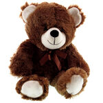 Plush Bear 2