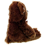 Plush Bear 3