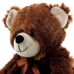 Plush Bear 4