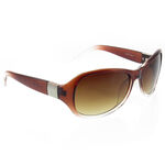 Brown Womens Sunglasses 1