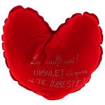 Gigantic Heart-Shaped Pillow 3