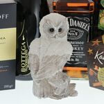 Men's Christmas gift set Owl 5