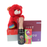 Be My Valentine teddy bear gift set 6