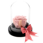 Gift Set Forever Rose 5