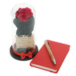 Teacher gift set cryogenic rose with diary and pen