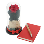 Teacher gift set cryogenic rose with diary and pen 1