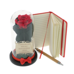 Teacher gift set cryogenic rose with diary and pen