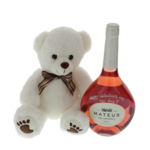 Teddy bear gift set with white rose Valentine 4