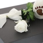 Teddy bear gift set with white rose Valentine 5