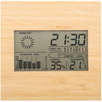 Bamboo Weather Station  2