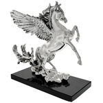 Pegasus exclusive bottle holder 5