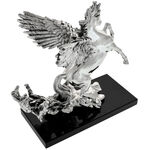 Pegasus exclusive bottle holder 7