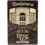 Tablou Opera Nationala Timisoara 40 cm 2
