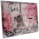 Bicycle painting on canvas 1