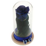 Blue Forever Rose 1