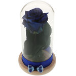 Blue Forever Rose 2