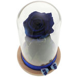 Blue Forever Rose 3