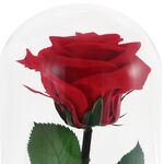 Gift for Mother Forever Rose 3