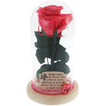 Forever Rose Gift for Godmother 1