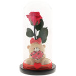 Forever Red Rose with Teddy Bear 2