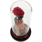 Forever Red Rose with Teddy Bear 3