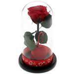 My Love Cryogenic Rose 2