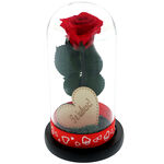 Cryogenic red rose under dome with message I love you