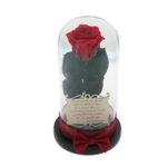 Cryogenic red rose under the dome with a birthday message